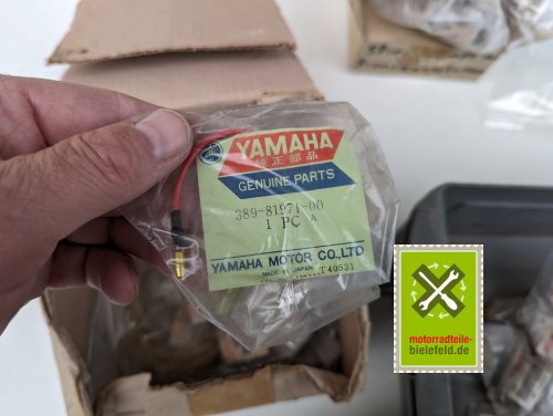 PXL_20240528_173831580